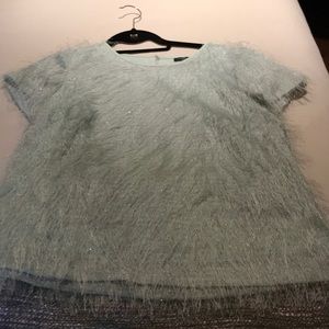 Ann Taylor Feather Top